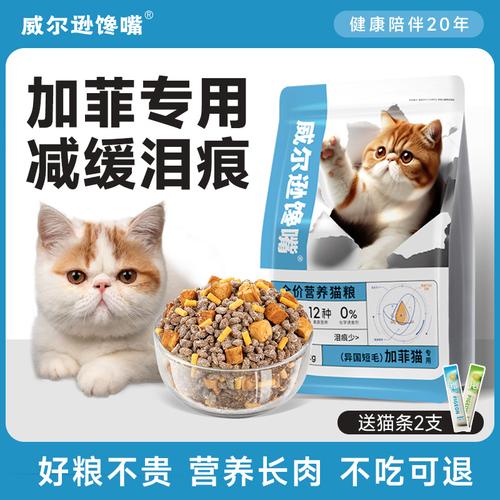 加菲猫喜欢吃什么猫粮?还有猫零食