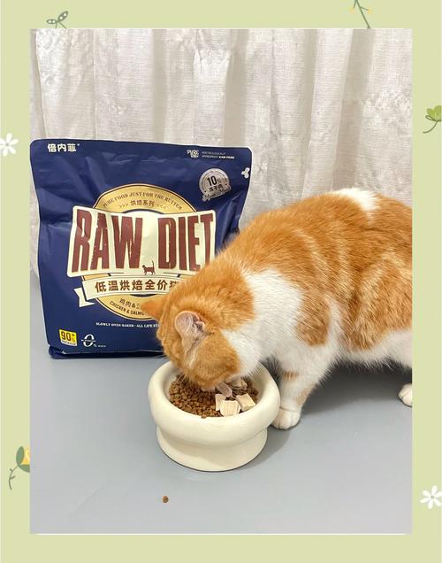 加菲猫吃什么牌子猫粮好?这种猫粮越吃越健康