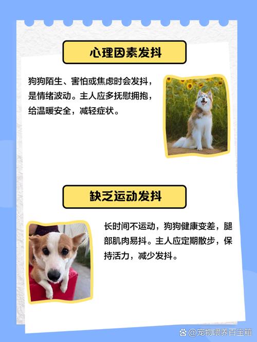 狗狗一碰就叫好像很疼还哆嗦是怎么回事