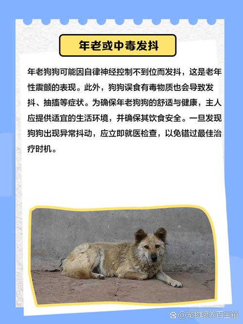 狗狗浑身哆嗦是怎么回事