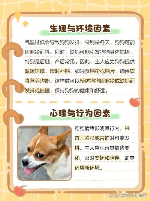 狗狗生产前浑身哆嗦怎么回事
