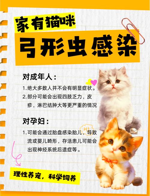 人与猫接触会感染寄生虫吗?