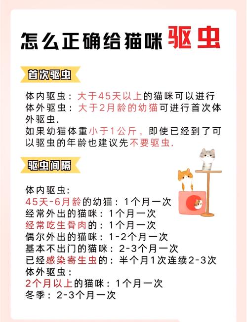 猫咪的身上有寄生虫吗