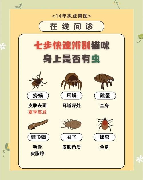 怎么判断猫咪的身上有没有寄生虫?