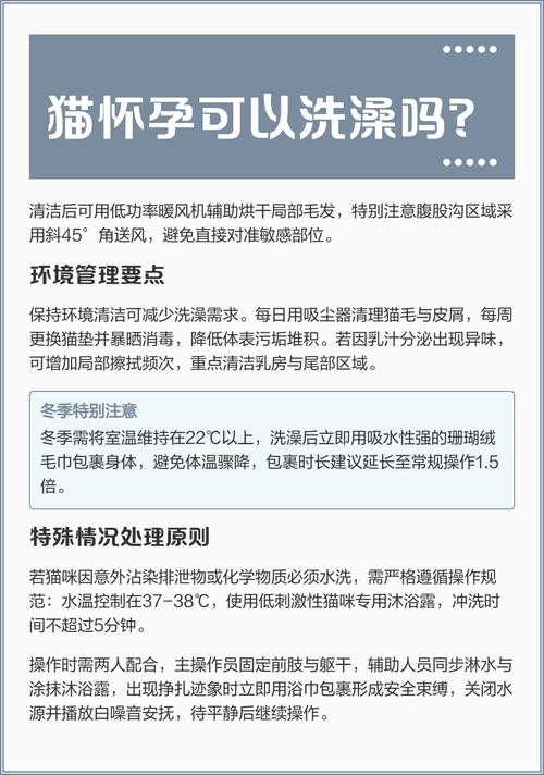 猫咪怀孕两个月了可以洗澡吗