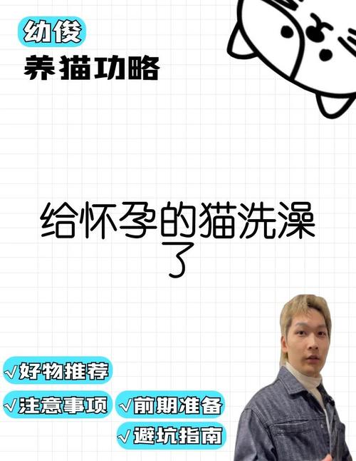 怀孕的猫可以洗澡吗?