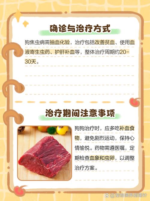 狗狗焦虫病治疗后多久能恢复健康