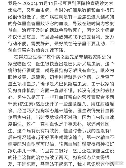 狗狗得了焦虫能治好吗