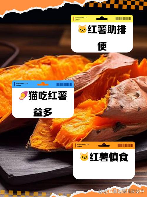 猫能不能吃地瓜