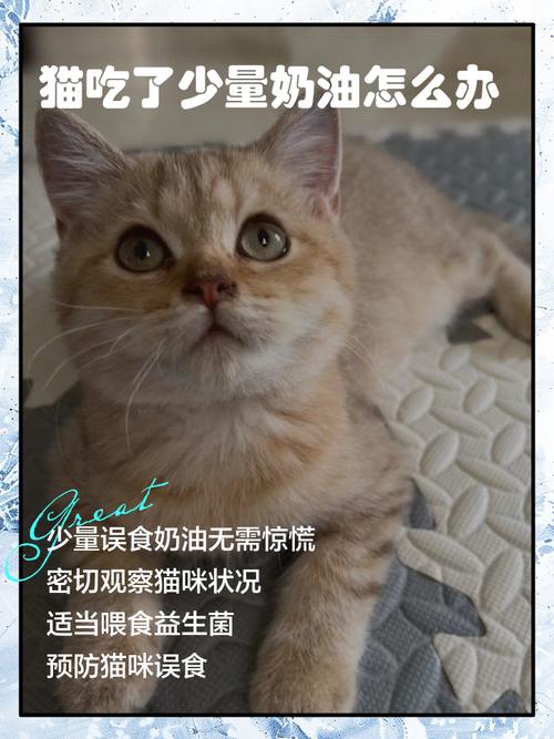 猫吃了一点点奶油没事吧