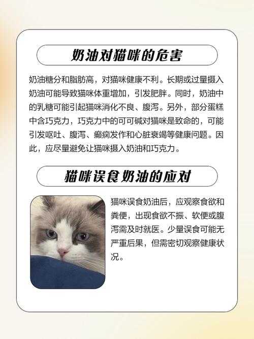 猫咪舔了一点奶油有事吗