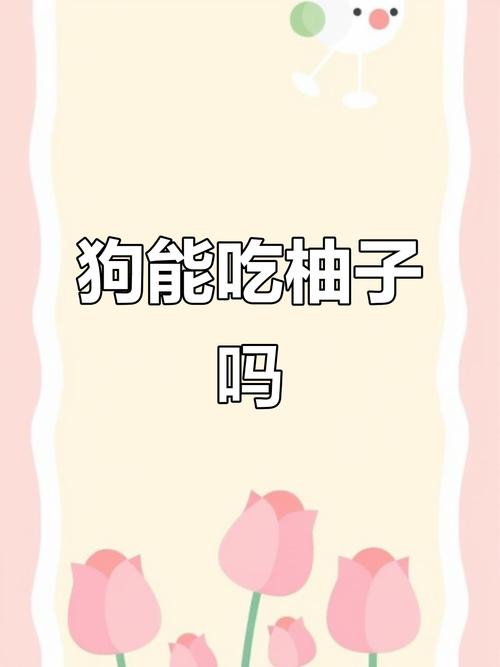 狗能吃西柚吗