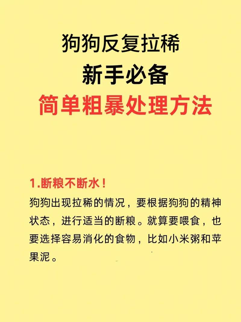 狗狗拉稀,其他的都很正常怎么办?