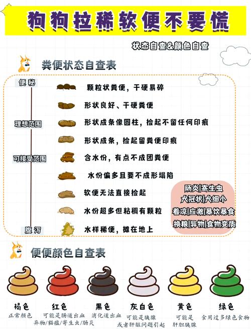 狗狗拉肚子怎么办啊?