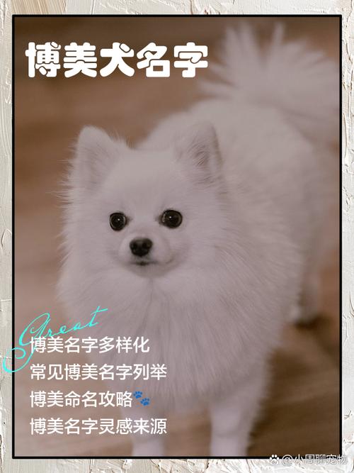 巴哥最洋气的狗狗名字