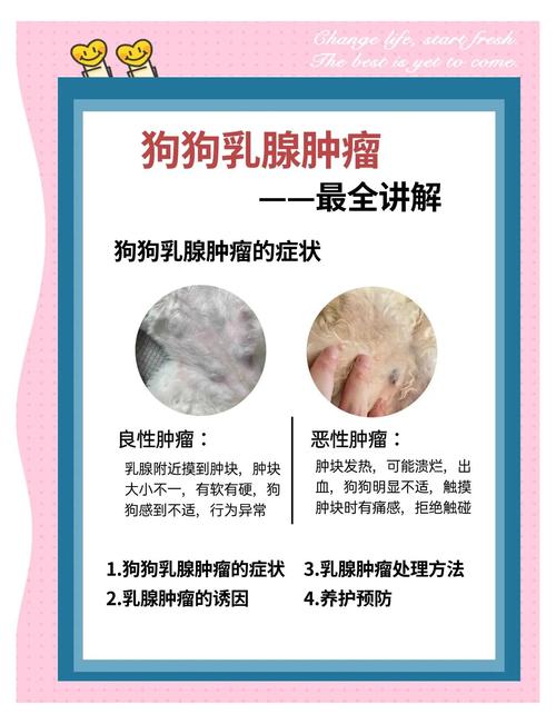 狗狗得乳房瘤如何治疗