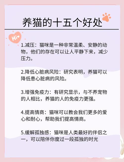 饲养猫咪有哪些好处?又该如何和猫咪相处?