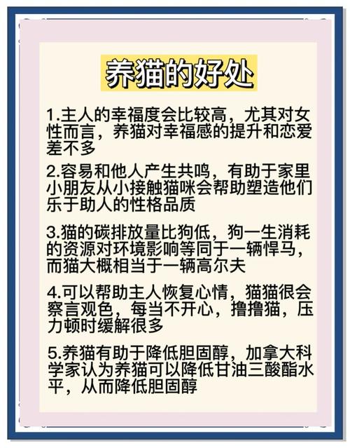 养小猫咪的好处有哪些呢?