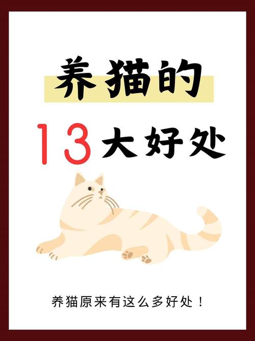 放养猫咪的好处应该如何分析呢?