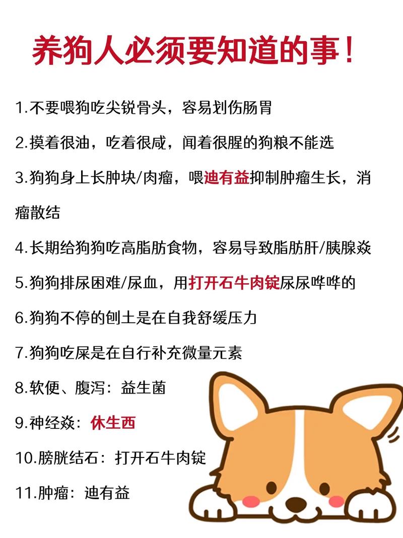 小狗狗要怎么养才不会生病?