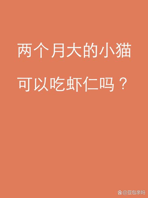 猫可以每天吃虾吗?