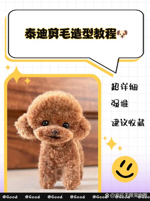 如何自己动手给泰迪小狗剪毛