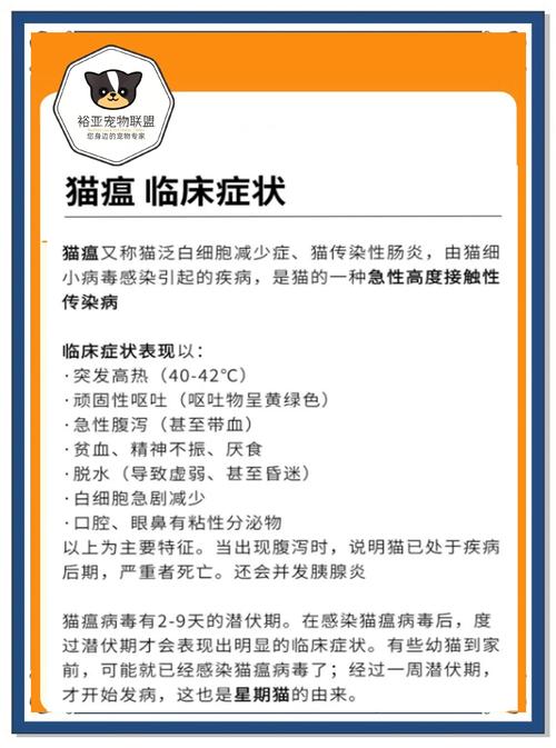 猫瘟,你会发现什么症状?