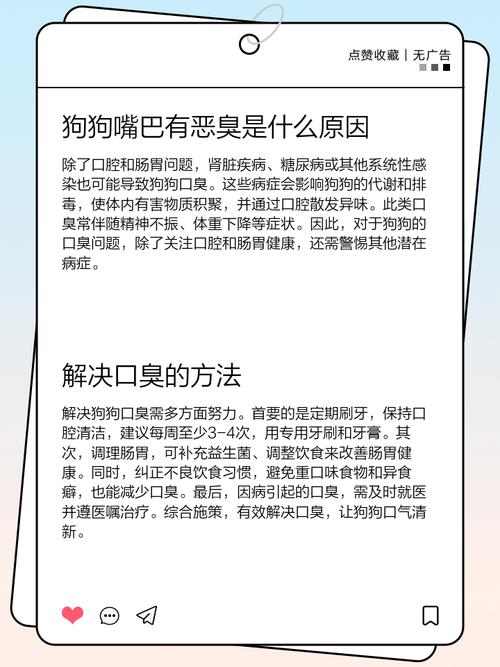 狗狗嘴巴为什么那么臭