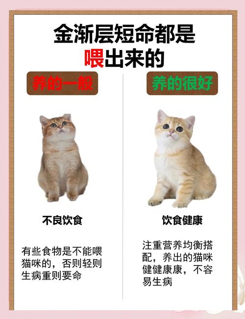 猫咪吃蟹肉有什么好处