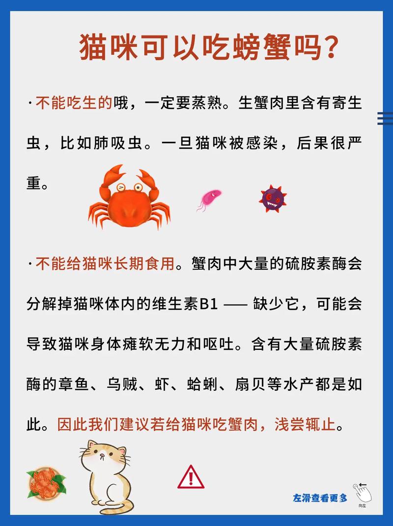 猫咪可以吃蟹肉吗