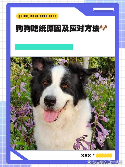 狗狗把纸给吃进去了怎么办啊
