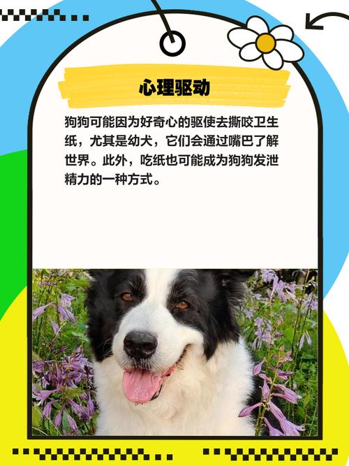 狗狗吃了卫生纸怎么办?