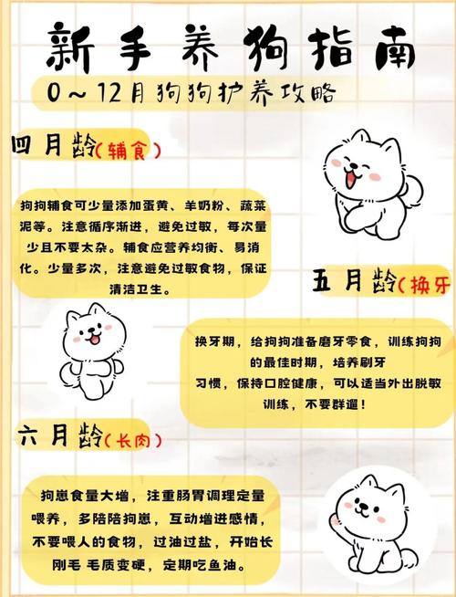 狗狗下奶吃什么快最有效的方法