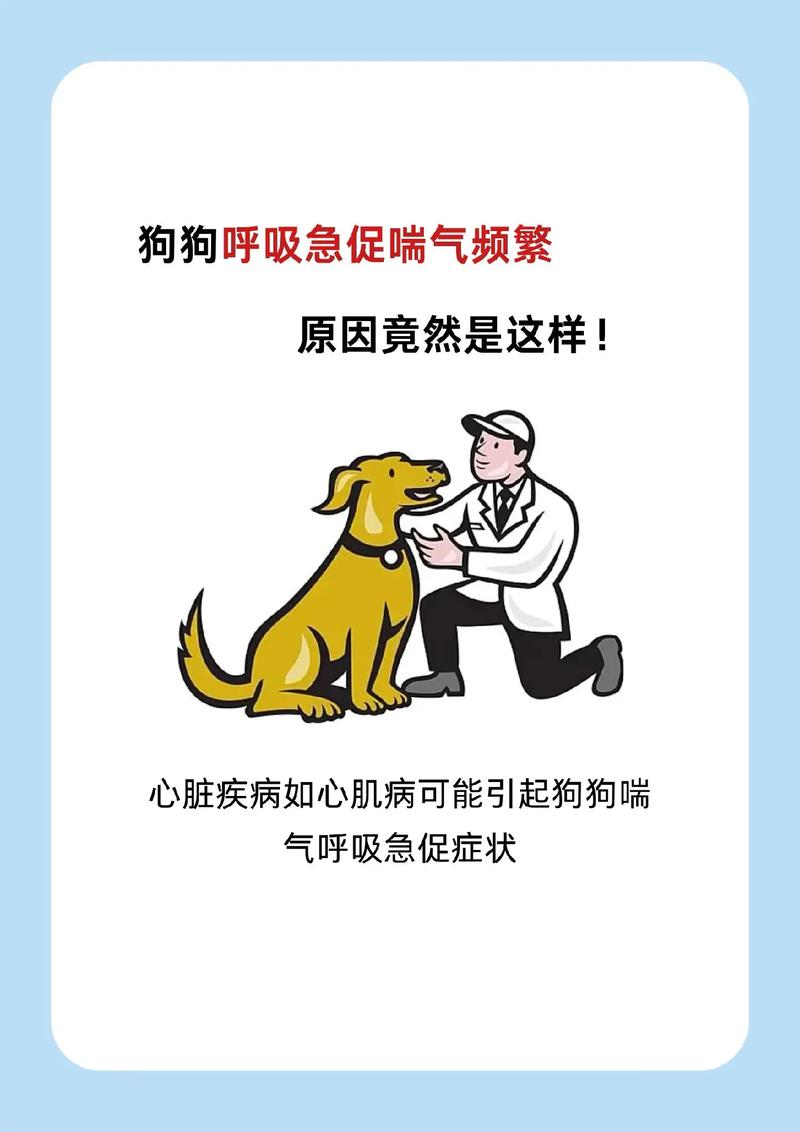 狗狗半夜反常不睡觉喘粗气