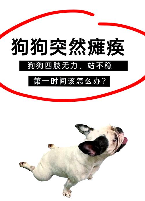 狗狗临产前喘粗气