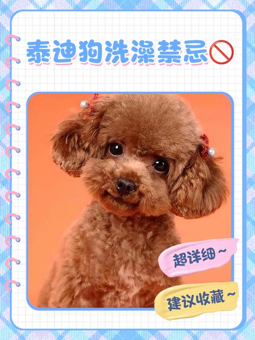 小狗夏天多久洗澡一次合理