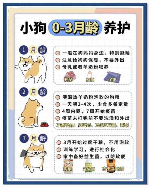 狗狗的生活习性介绍