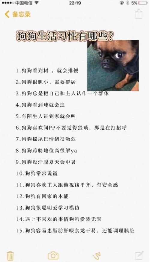 狗狗的生活习惯有哪些呢?