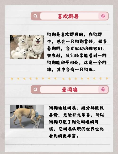 狗的生活习性和特征