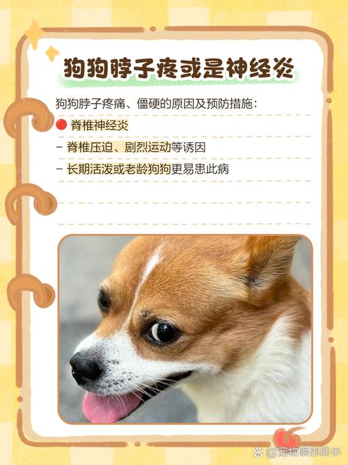 狗狗为什么会得颈椎病?