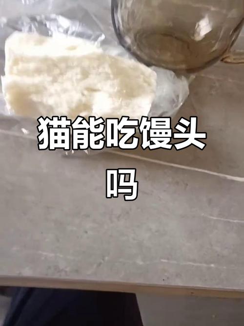 猫咪可不可以吃馒头呢???