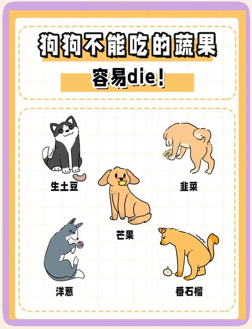 狗狗能不能吃红西柚