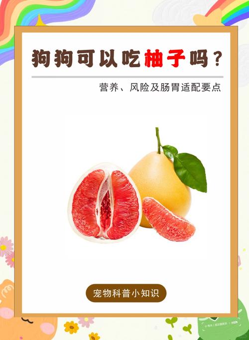 这5种水果,千万记住,狗狗再馋也不能喂