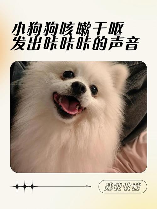 我家狗狗咳嗽就是咔咔咔的声音,同时伴随着肚子一抽一抽的,咳的最后[One]、..