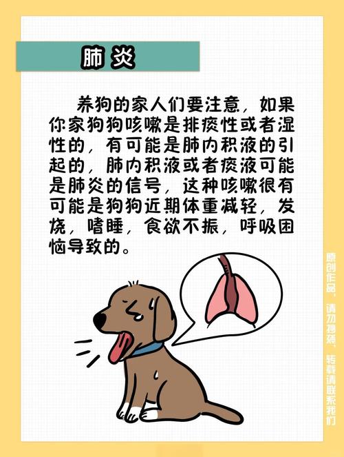 狗狗咳嗽干呕发出咔咔咔的声音