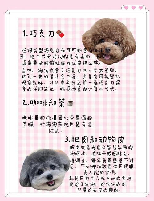 为什么狗狗要吃猪油