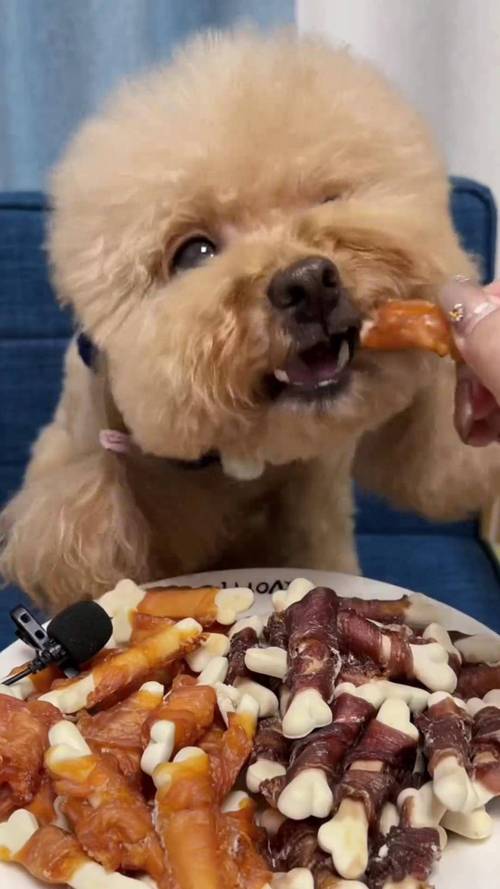 为什么狗狗爱吃猪油