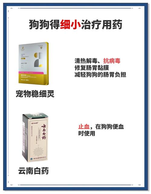 细小病毒治疗方式