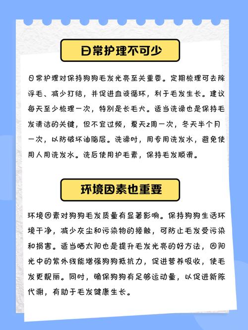 使狗狗毛发亮的小技巧