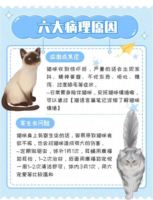 为什么我的猫喜欢吃饭,不喜欢吃猫粮?